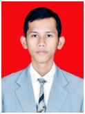 Syamsul Rizal - Professional