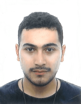 Muhammad Royyan Zahir - Professional