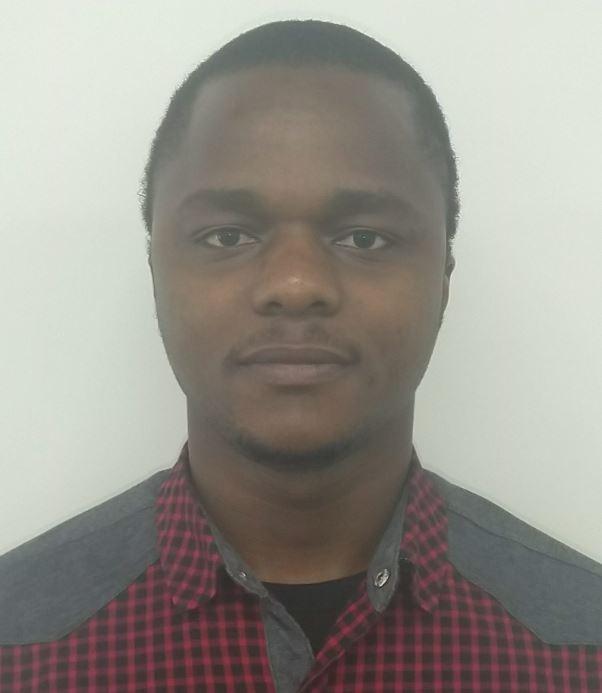 Igboanusi Ikechi Saviour (PhD) - Professional