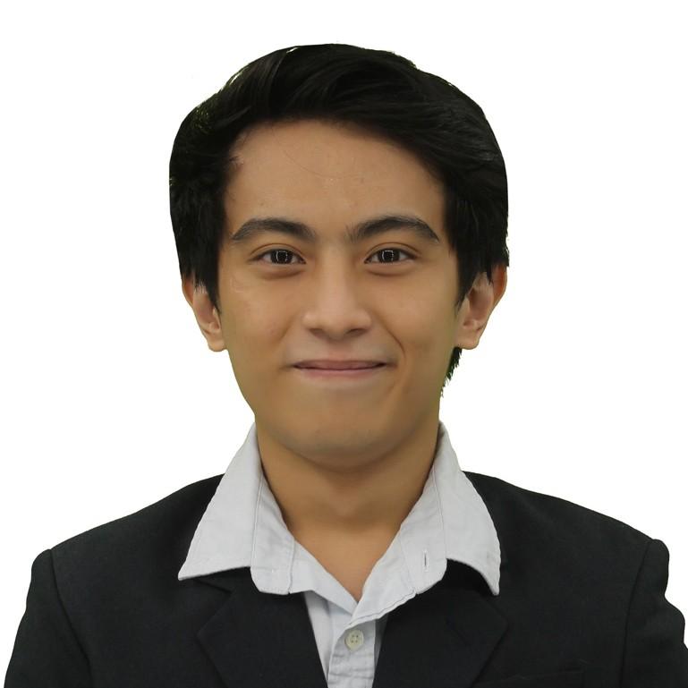 Robin Matthew G. Medina - Professional
